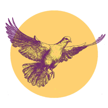 Illustration of a pigeon with outstretched wings in flight, drawn in dark purple, against a plain yellow circular background.